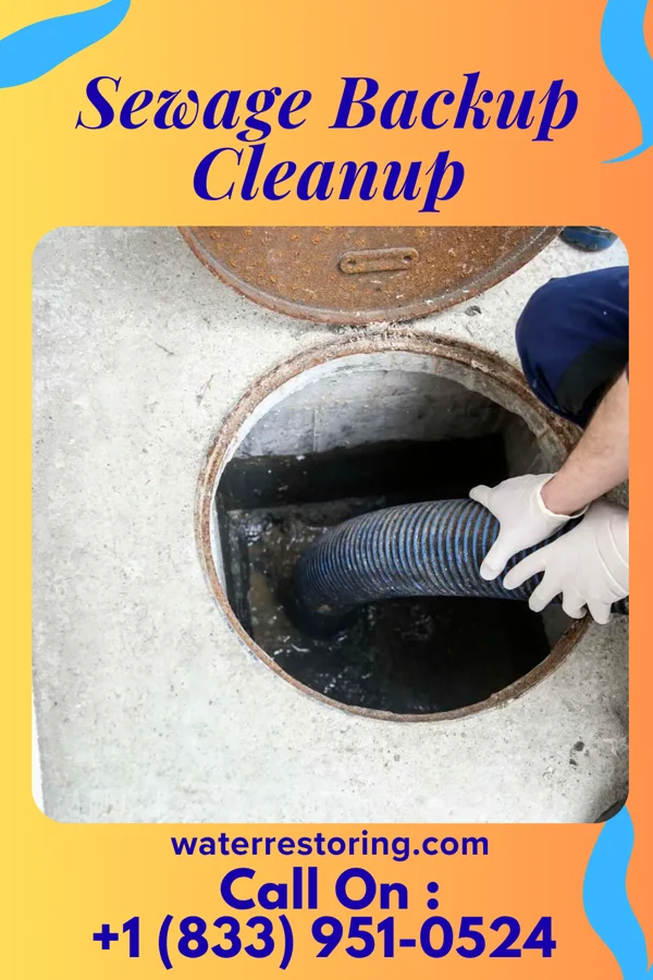 Sewage Backup Cleanup in Pines Lake, NJ