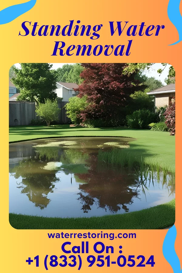 Standing Water Removal in Pines Lake, NJ